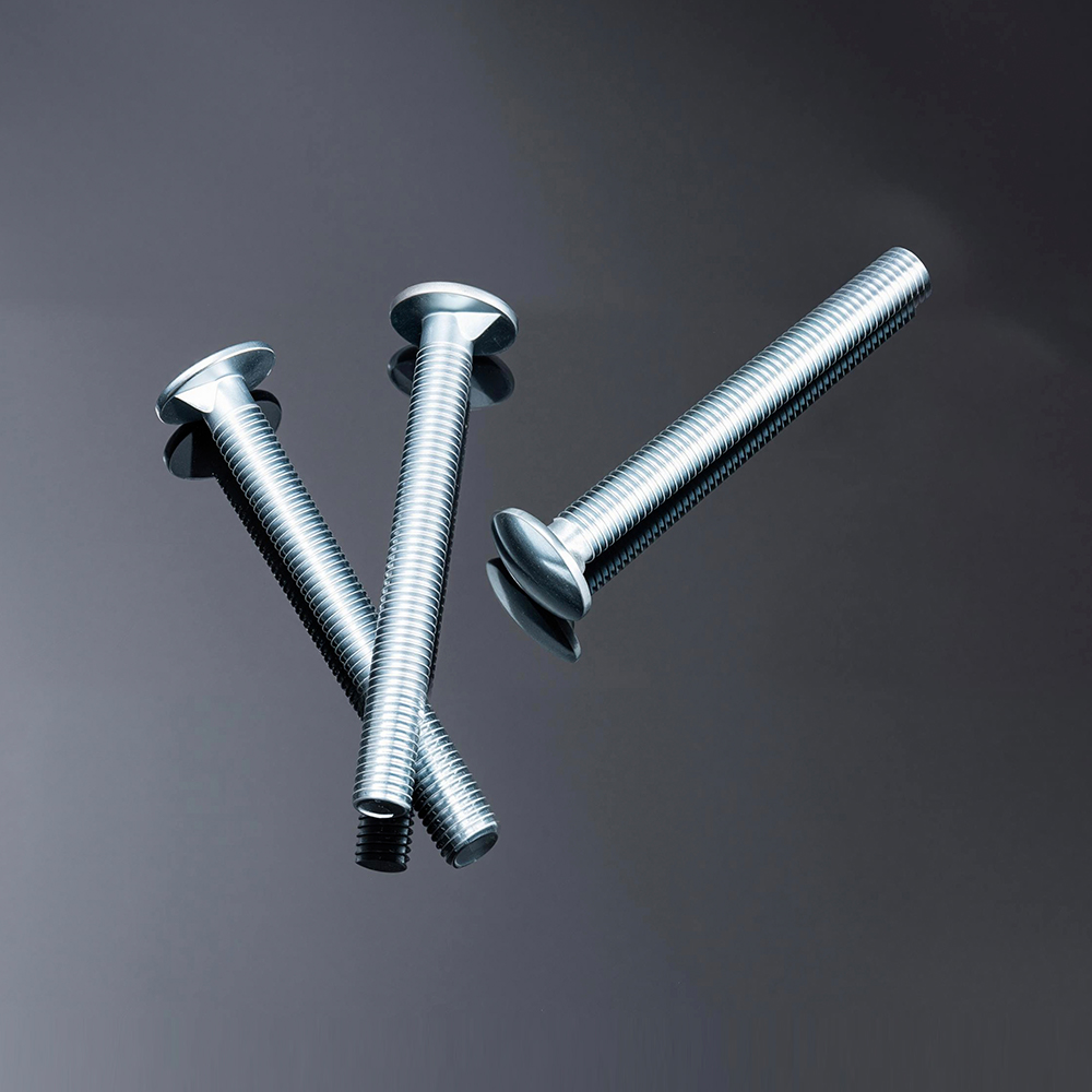 Carriage Bolt M10(Custom Non-standard)